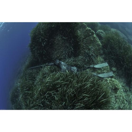 Cressi Tracina 3.5 mm spodnie (LE464902)